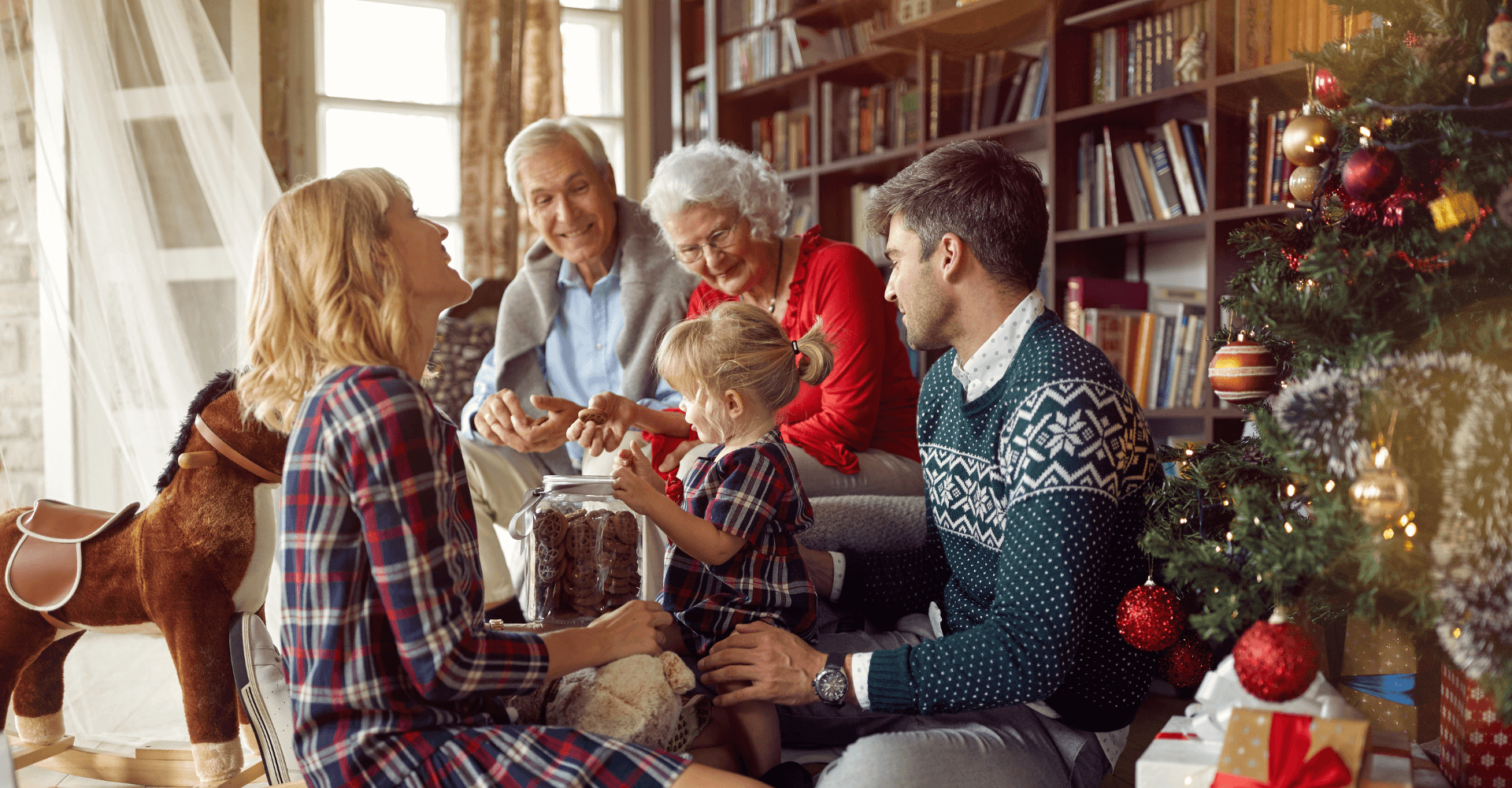 Navigating Loneliness Around the Holidays; Tips for Seniors