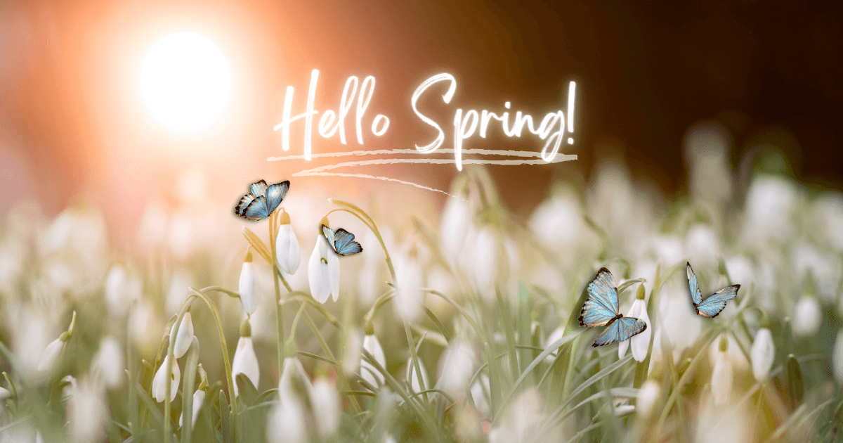Spring is on the way! Tips for Staying Social, Active, and Safe While We Wait