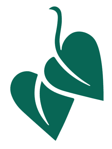 ivy leaves icon